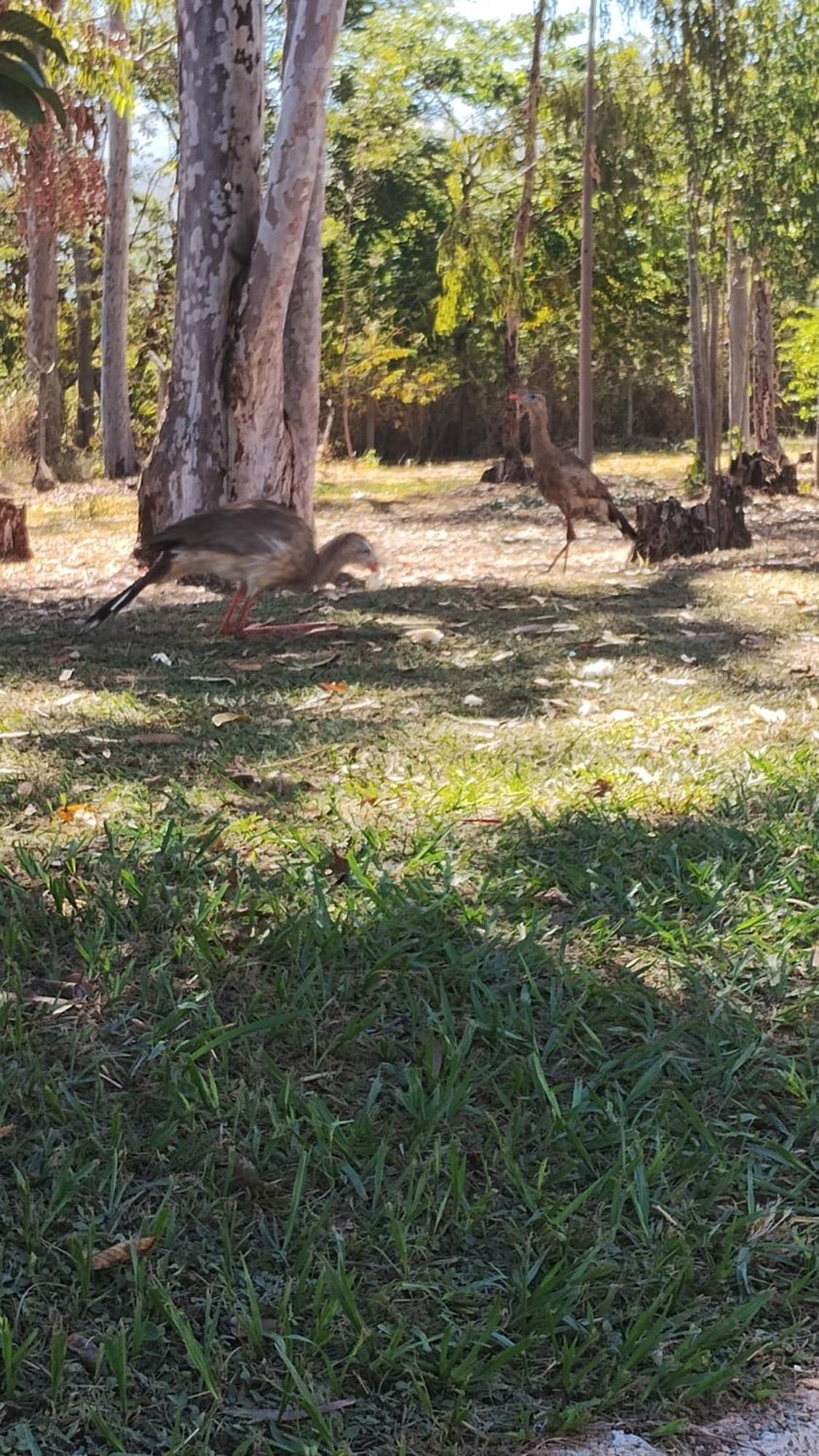 Pousada Ribeirinha Sao Jose da Barra Dış mekan fotoğraf